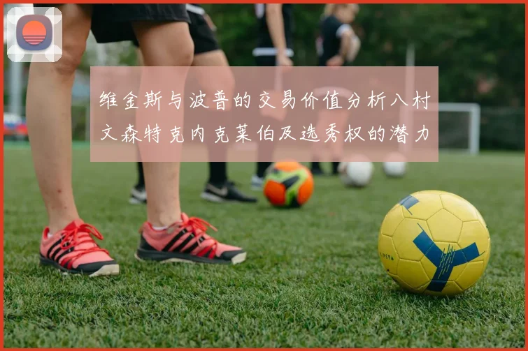 维金斯与波普的交易价值分析八村文森特克内克莱伯及选秀权的潜力探讨
